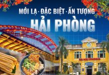 Top các địa điểm du lịch không nên bỏ lỡ khi ghé đến Hải Phòng